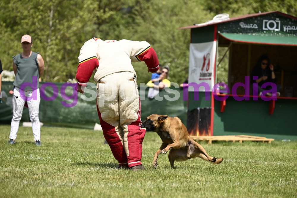 Preview _JRI_19065.jpg